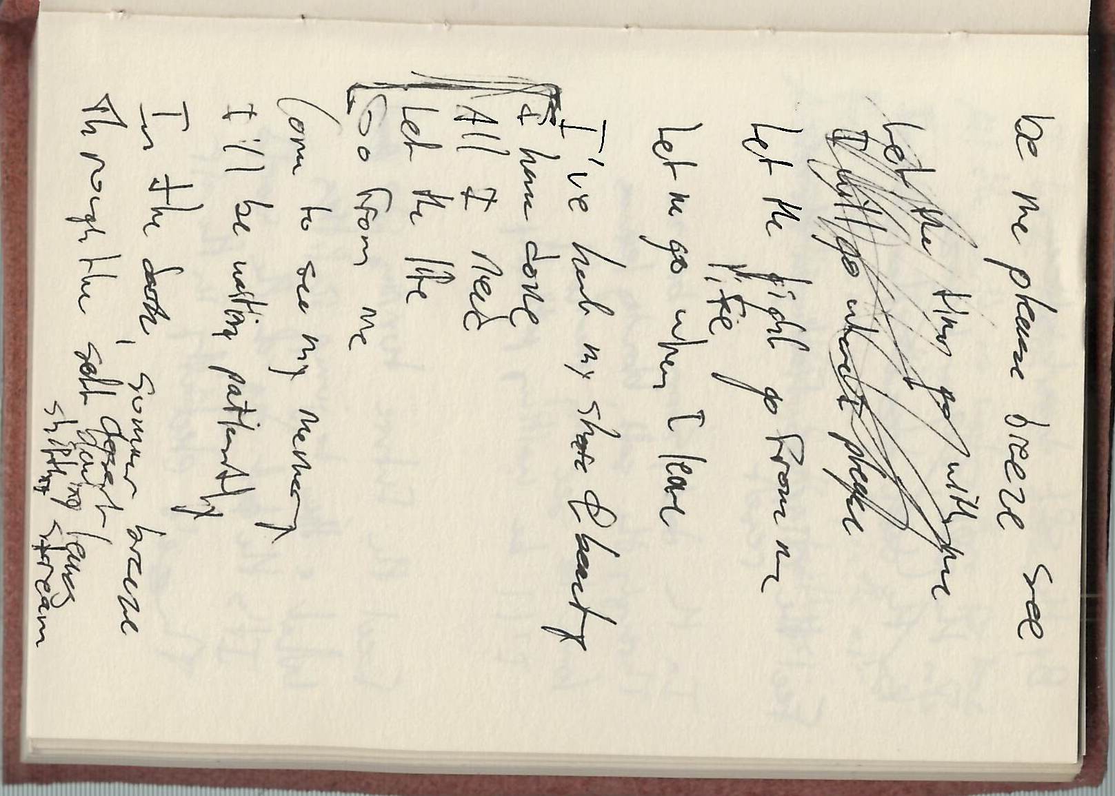 For My Young Death Lyrics Sheet 11